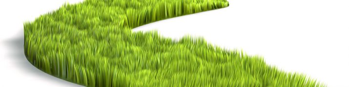 17-grass
